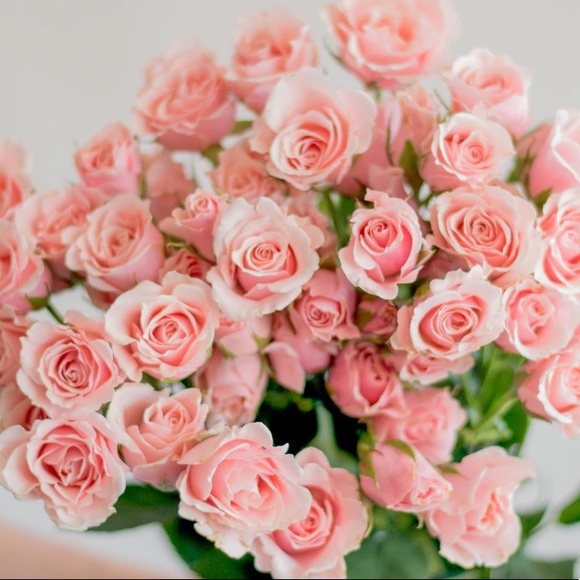 Meet your Posher ππ₯°ππ₯°π - Picture 2 of 8